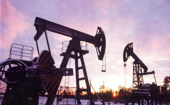 В Голышмановском районе может появиться первая нефтяная скважина
