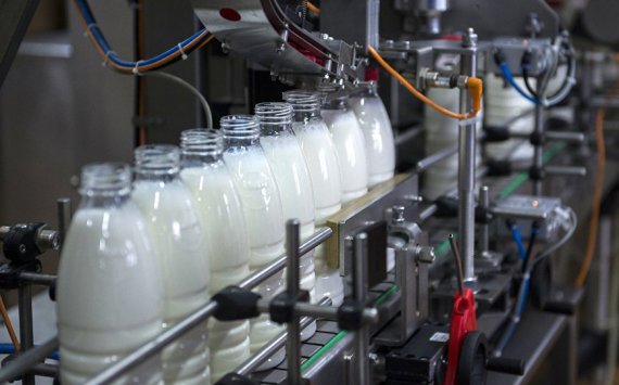 В Тюменской области запустили молочный комплекс «Дамате»