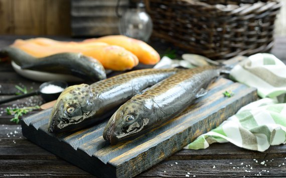 В 2017 году в Тюменской области было выловлено 3 тысячи тонн рыбы