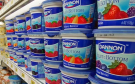 Власти региона  обсудил вопросы сотрудничества с Danone