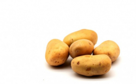 Учёные из Тюмени предложили новое средство защиты картофеля от фитофторы