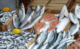 Рыбопереработчики Тюмени  планируют развивать собственную сеть магазинов