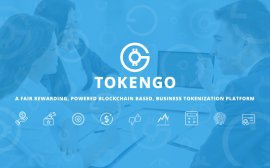 Возможности блокчейн-платформы TokenGO