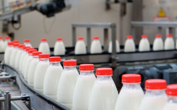 Вьетнамцы планируют запустить производство молока в Тюменской области