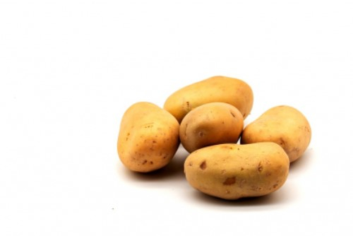 Учёные из Тюмени предложили новое средство защиты картофеля от фитофторы