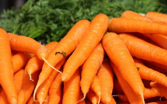 В Тюменской области морковь и картофель подорожали почти в два раза