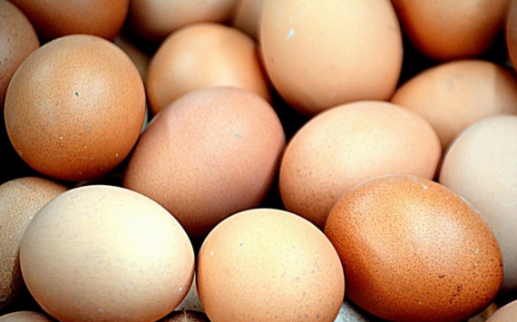 В Тюменской области производство яиц сократилось почти в 3 раза