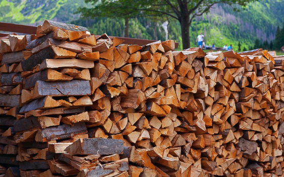 Тюменская область экспортировала более 5 тысяч кубометров лесоматериалов