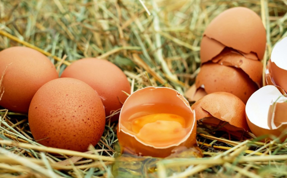 Экономист Габудина спрогнозировала тюменцам рост цен на яйца на 15% к Пасхе