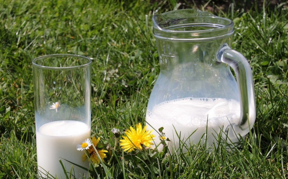 В Тюменской области самозанятые могут получить субсидию на производство молока