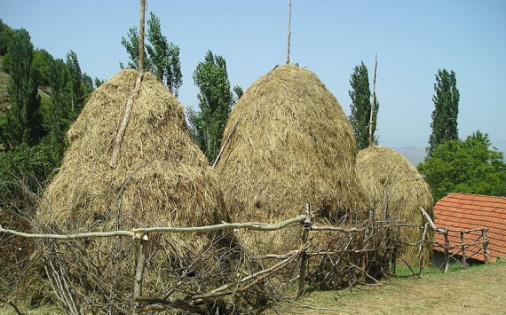 Чейметов подвел предварительные итоги сельскохозяйственного года в Тюменской области